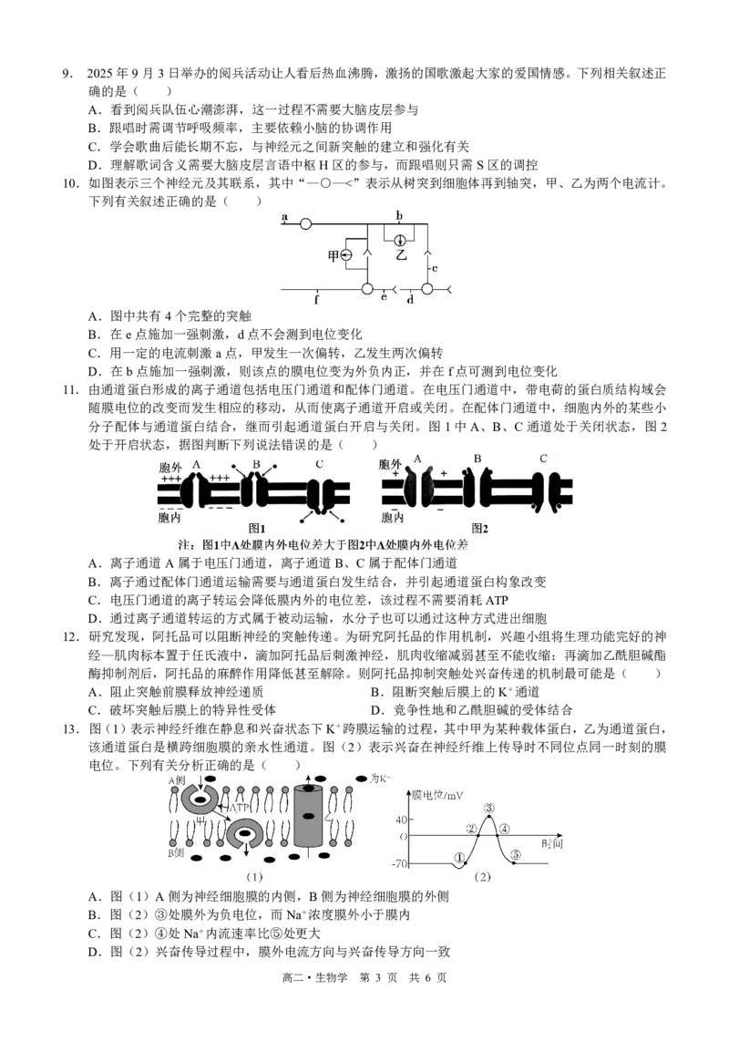 四川省泸州市三校联盟2025-2026学年高二上学期第一次联合考试生物学试题（原卷）_2026年02月高二试卷_260206四川省泸州市三校联盟2025-2026学年高二上学期第一次联合考试（全）
