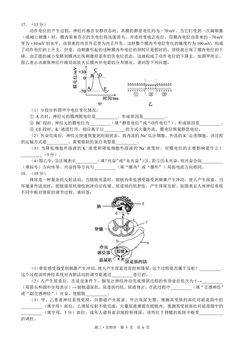 四川省泸州市三校联盟2025-2026学年高二上学期第一次联合考试生物学试题（原卷）_2026年02月高二试卷_260206四川省泸州市三校联盟2025-2026学年高二上学期第一次联合考试（全）