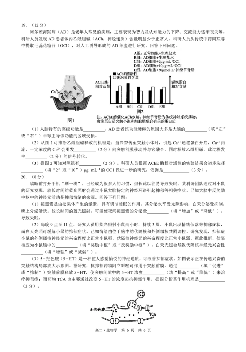 四川省泸州市三校联盟2025-2026学年高二上学期第一次联合考试生物学试题（原卷）_2026年02月高二试卷_260206四川省泸州市三校联盟2025-2026学年高二上学期第一次联合考试（全）