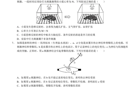 四川省泸州市三校联盟2025-2026学年高二上学期第一次联合考试生物学试题（原卷）_2026年02月高二试卷_260206四川省泸州市三校联盟2025-2026学年高二上学期第一次联合考试（全）
