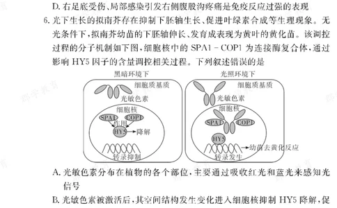 生物湖南省长郡中学2025-2026高二上学期期末考试_2026年02月高二试卷_260214湖南省长郡中学2025-2026高二上学期期末考试（全科）