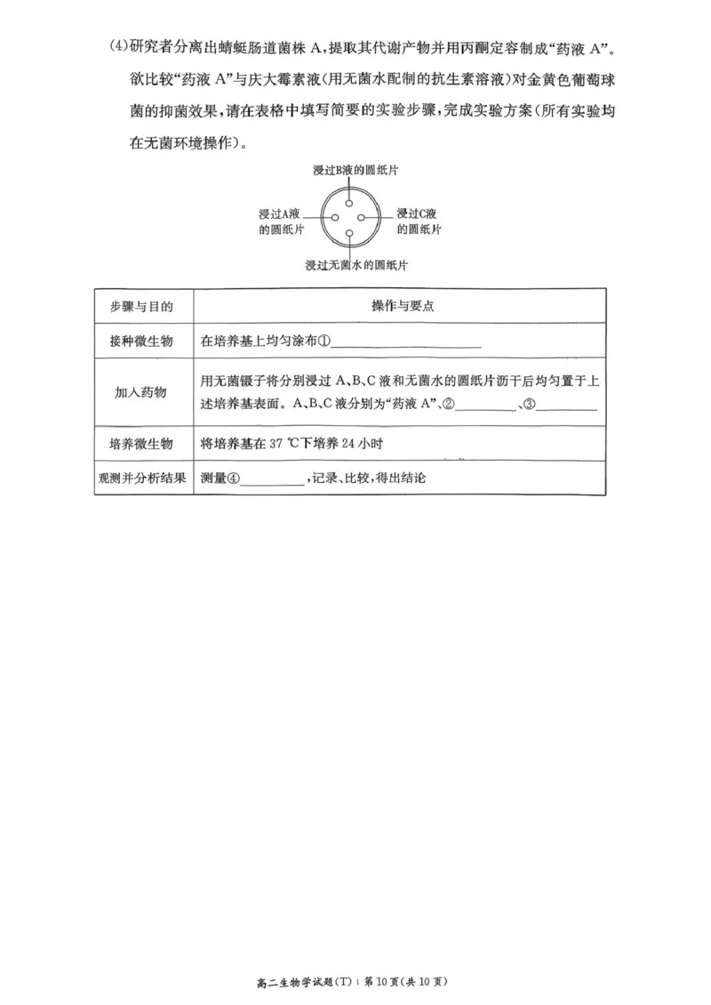 湖南师范大学附属中学2025-2026学年高二上学期1月期末生物试题（图片版，含答案）_2026年02月高二试卷_260208湖南师范大学附属中学2025-2026学年高二上学期1月期末试题