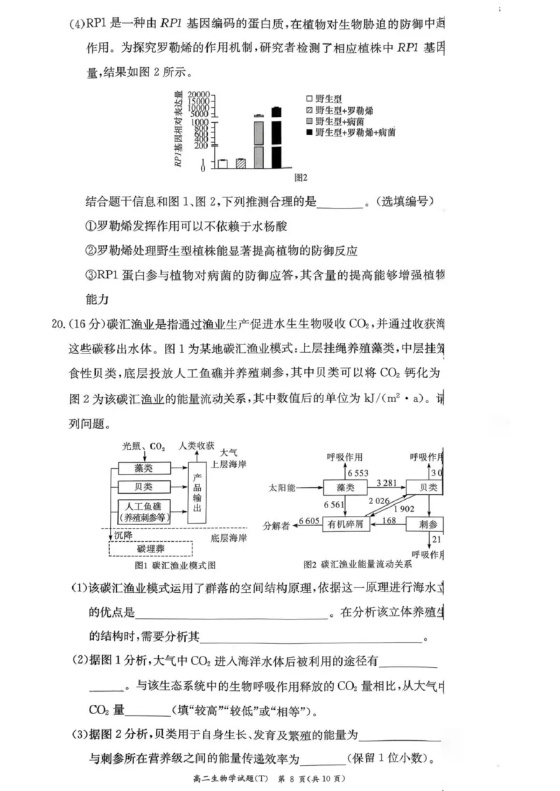 湖南师范大学附属中学2025-2026学年高二上学期1月期末生物试题（图片版，含答案）_2026年02月高二试卷_260208湖南师范大学附属中学2025-2026学年高二上学期1月期末试题