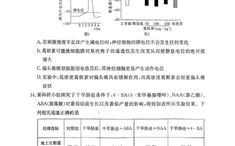 湖南师范大学附属中学2025-2026学年高二上学期1月期末生物试题（图片版，含答案）_2026年02月高二试卷_260208湖南师范大学附属中学2025-2026学年高二上学期1月期末试题