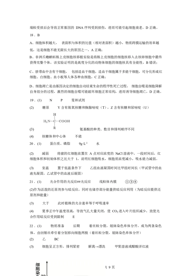 湖北省孝感市湖北省楚天协作体2025-2026学年高一下学期3月阶段检测生物试题（含答案）_2026年03月高一试卷_260325湖北省楚天协作体2025-2026学年高一下学期3月阶段检测