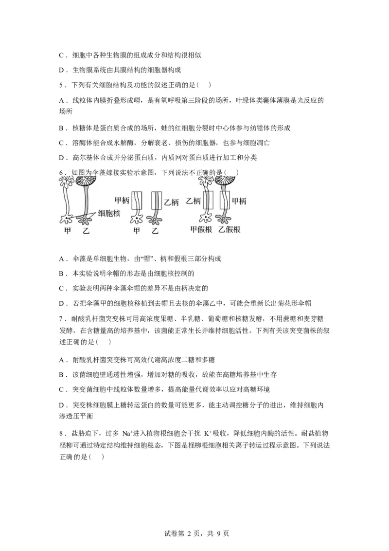 湖北省孝感市湖北省楚天协作体2025-2026学年高一下学期3月阶段检测生物试题（含答案）_2026年03月高一试卷_260325湖北省楚天协作体2025-2026学年高一下学期3月阶段检测