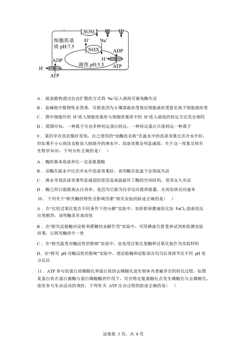 湖北省孝感市湖北省楚天协作体2025-2026学年高一下学期3月阶段检测生物试题（含答案）_2026年03月高一试卷_260325湖北省楚天协作体2025-2026学年高一下学期3月阶段检测