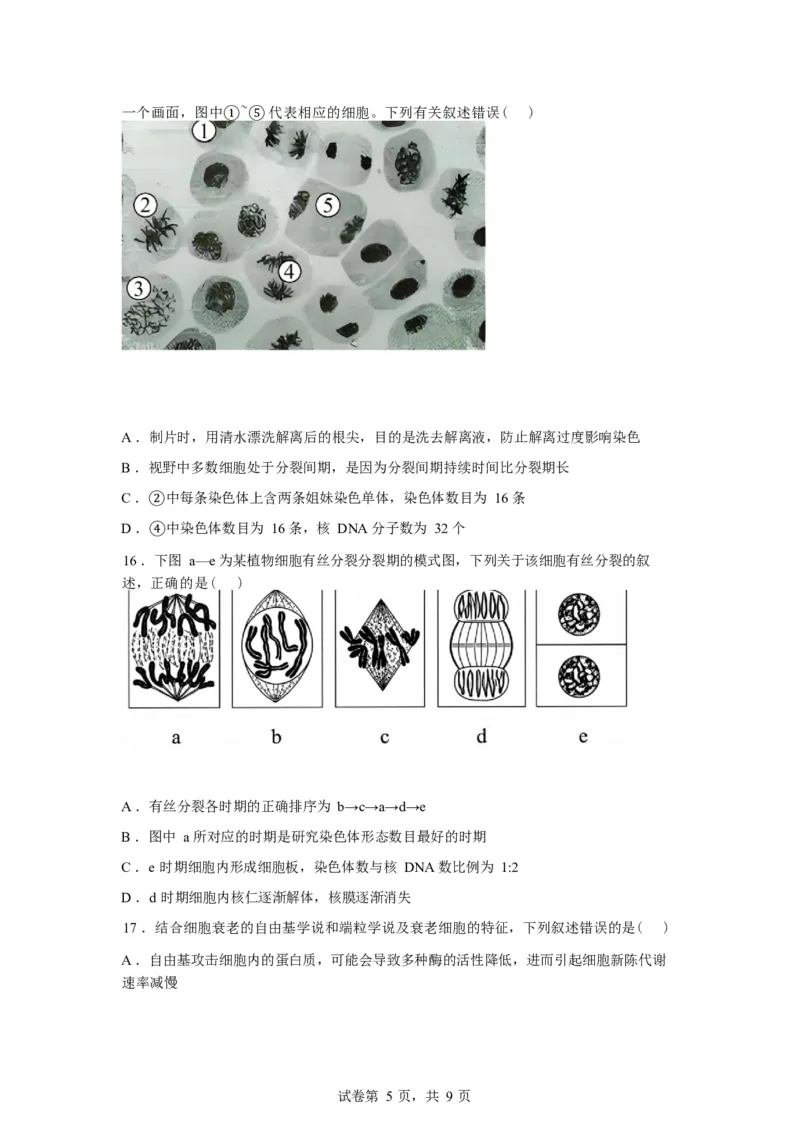湖北省孝感市湖北省楚天协作体2025-2026学年高一下学期3月阶段检测生物试题（含答案）_2026年03月高一试卷_260325湖北省楚天协作体2025-2026学年高一下学期3月阶段检测