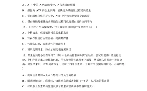 湖北省孝感市湖北省楚天协作体2025-2026学年高一下学期3月阶段检测生物试题（含答案）_2026年03月高一试卷_260325湖北省楚天协作体2025-2026学年高一下学期3月阶段检测