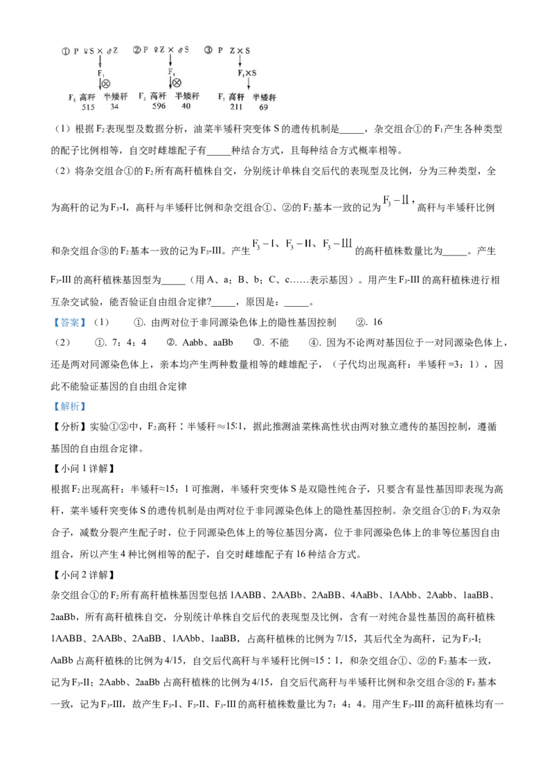 精品解析：湖南长沙市第一中学2025-2026学年高二下学期开学生物试题（解析版）_副本_2026年03月高二试卷_260325湖南长沙一中2025-2026学年高二下学期3月入学考试全科