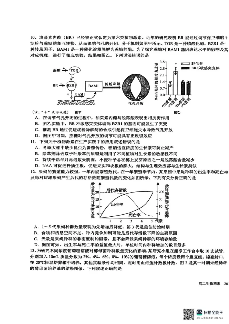 四川省成都市树德中学2025-2026学年高二上学期期末考试生物试题（图片版，含答案）_2026年02月高二试卷_260205四川省成都市树德中学2025-2026学年高二上学期期末（全）