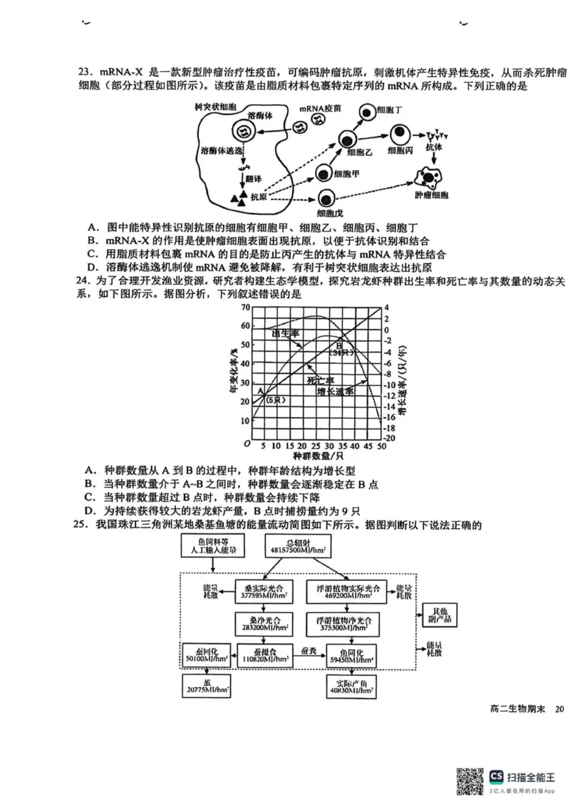 四川省成都市树德中学2025-2026学年高二上学期期末考试生物试题（图片版，含答案）_2026年02月高二试卷_260205四川省成都市树德中学2025-2026学年高二上学期期末（全）