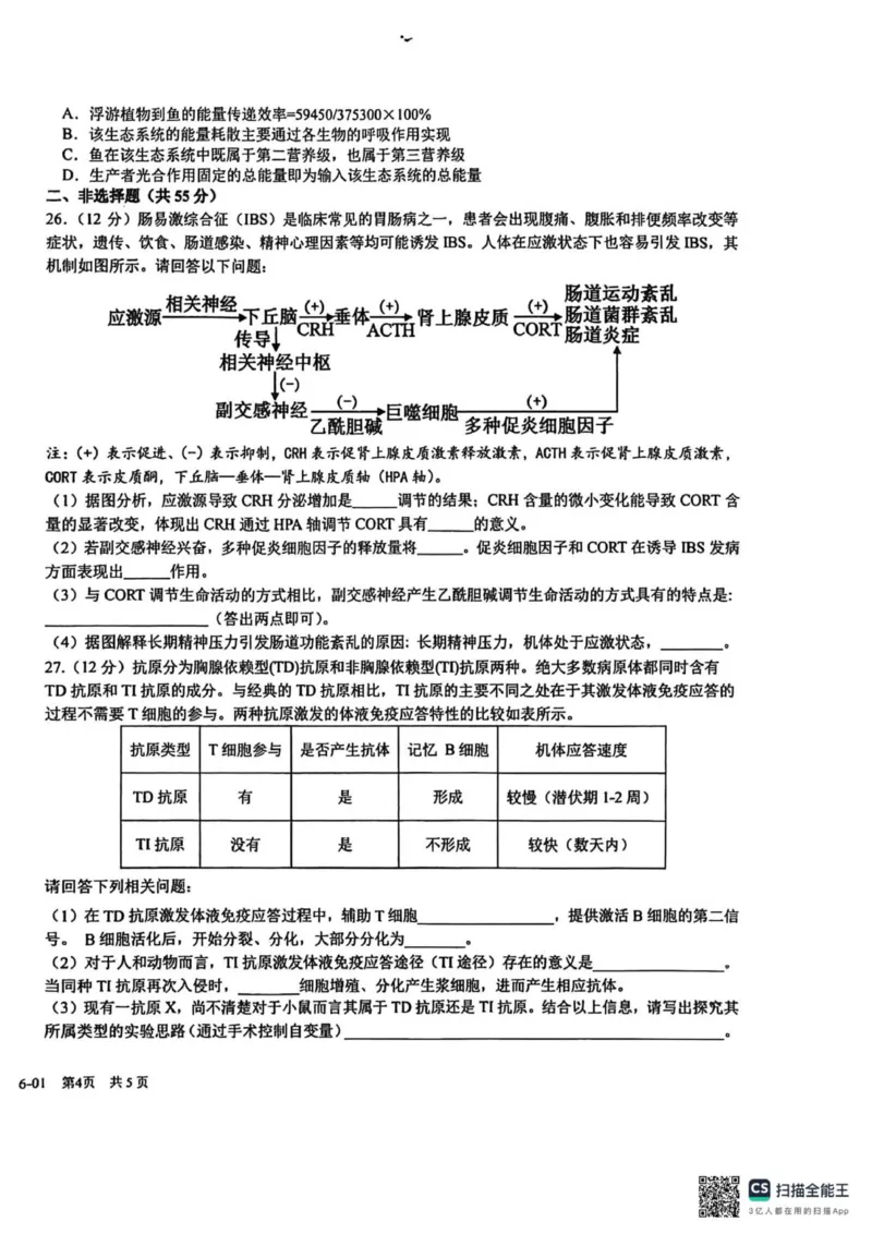 四川省成都市树德中学2025-2026学年高二上学期期末考试生物试题（图片版，含答案）_2026年02月高二试卷_260205四川省成都市树德中学2025-2026学年高二上学期期末（全）