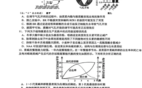 四川省成都市树德中学2025-2026学年高二上学期期末考试生物试题（图片版，含答案）_2026年02月高二试卷_260205四川省成都市树德中学2025-2026学年高二上学期期末（全）