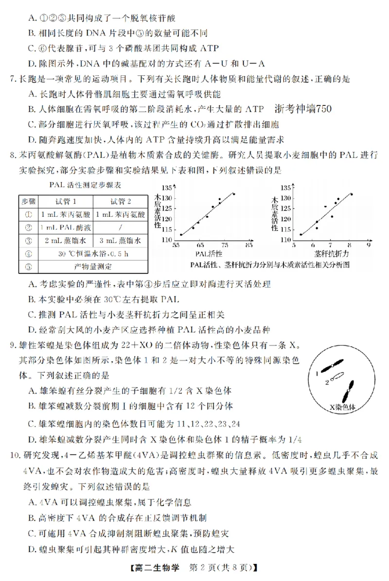 生物卷-2603高二强基联盟_2026年03月高二试卷_260308浙江强基联盟2026年3月高二联考
