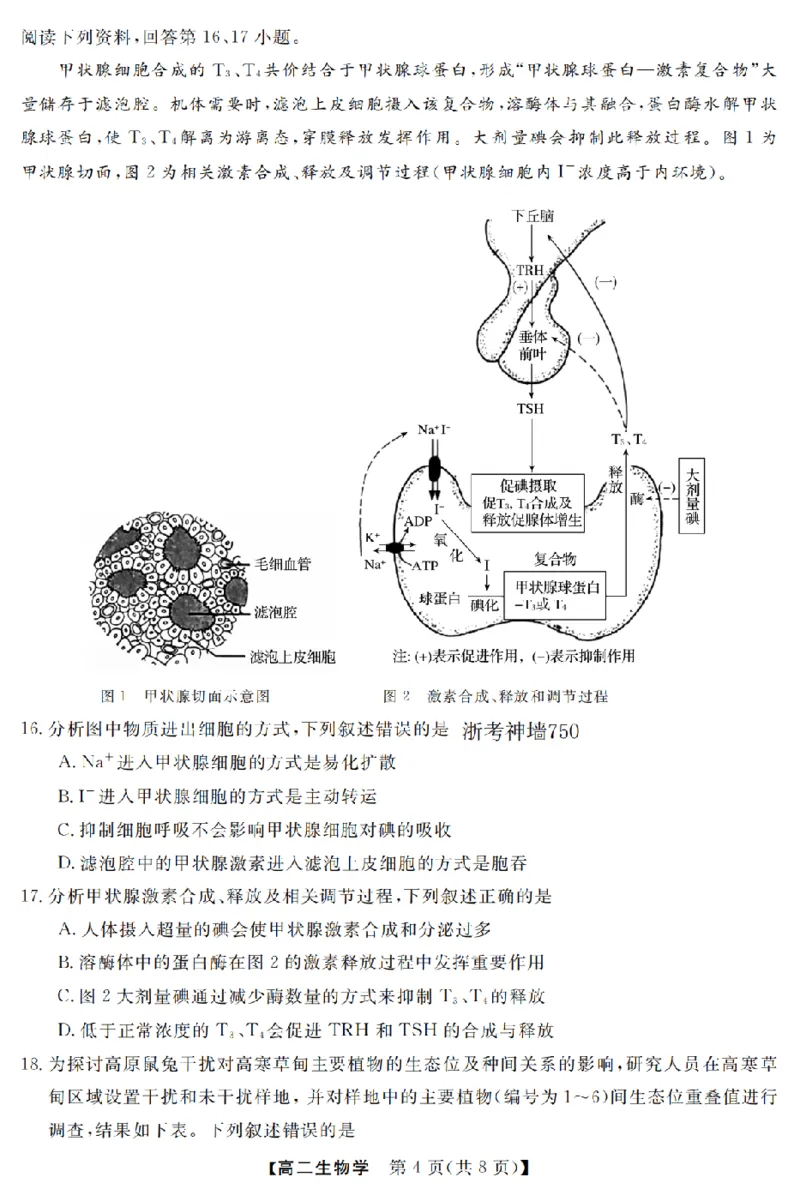 生物卷-2603高二强基联盟_2026年03月高二试卷_260308浙江强基联盟2026年3月高二联考