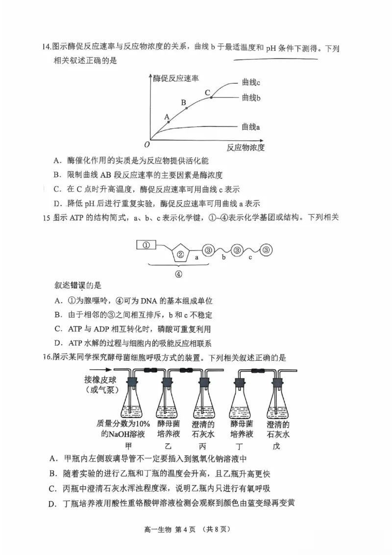 江苏省苏州市2025-2026学年度高一上学期期末考试生物试卷_2026年02月高一试卷_260213江苏省苏州市2025-2026学年度高一上学期期末考试（全）