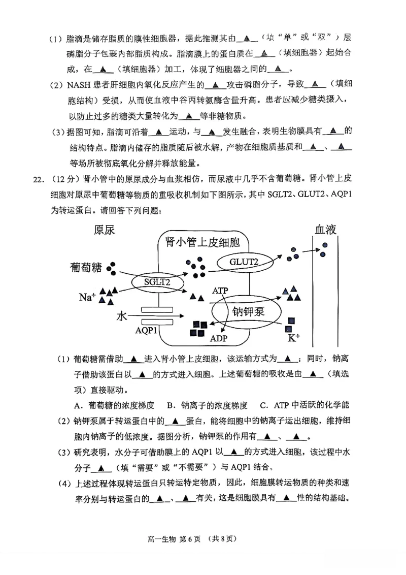 江苏省苏州市2025-2026学年度高一上学期期末考试生物试卷_2026年02月高一试卷_260213江苏省苏州市2025-2026学年度高一上学期期末考试（全）