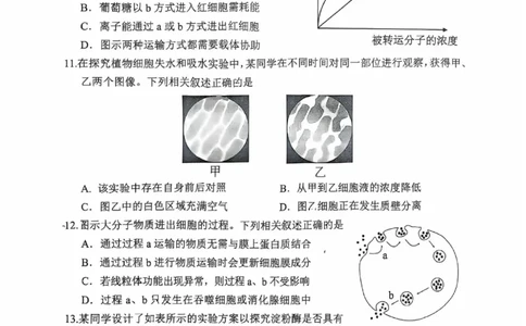 江苏省苏州市2025-2026学年度高一上学期期末考试生物试卷_2026年02月高一试卷_260213江苏省苏州市2025-2026学年度高一上学期期末考试（全）