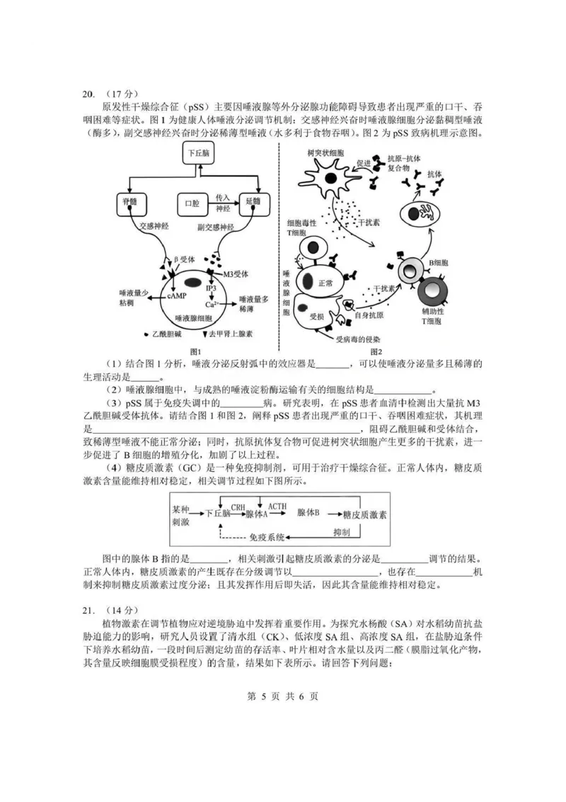 湖北省孝感市楚天协作体2025-2026学年度上学期高二年级期末考试生物试题含答案_2026年02月高二试卷_260213湖北省孝感市楚天协作体2025-2026学年度上学期高二年级期末考试（全）