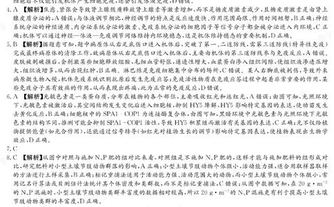 生物答案湖南省长郡中学2025-2026高二上学期期末考试_2026年02月高二试卷_260214湖南省长郡中学2025-2026高二上学期期末考试（全科）