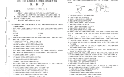 金太阳&middot;江西省2025一2026学年高二年级上学期学科期末素养训练生物_2026年02月高二试卷_260211金太阳&middot;江西省2025一2026学年高二年级上学期学科期末素养训练（26-237B）（全）