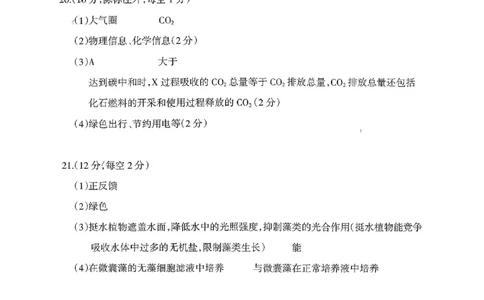 高二生物答案_2026年02月高二试卷_260216山西省阳泉市2025-2026学年上学期期末高二_山西省阳泉市2025-2026学年上学期期末高二生物试题（图片版，含答案）