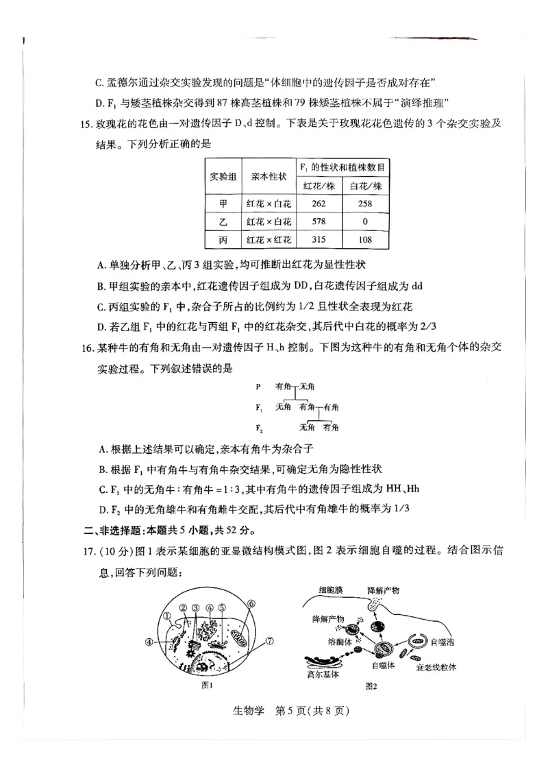 天一高一生物试题_2026年03月高一试卷_260329河南天一大联考2026年高一3月联考（全科）