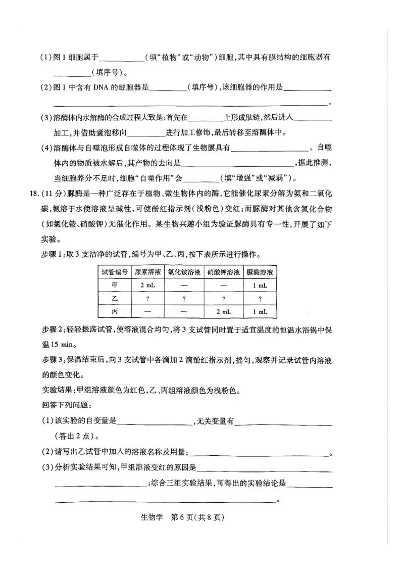 天一高一生物试题_2026年03月高一试卷_260329河南天一大联考2026年高一3月联考（全科）
