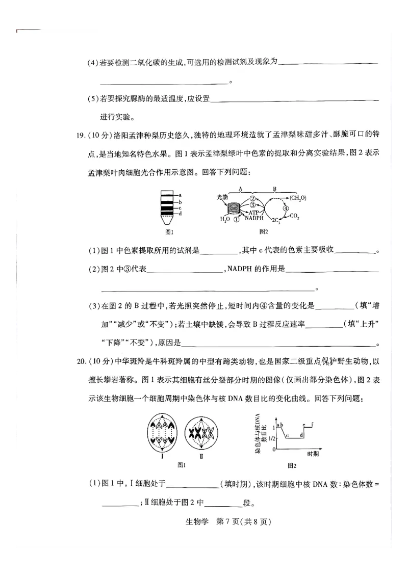 天一高一生物试题_2026年03月高一试卷_260329河南天一大联考2026年高一3月联考（全科）