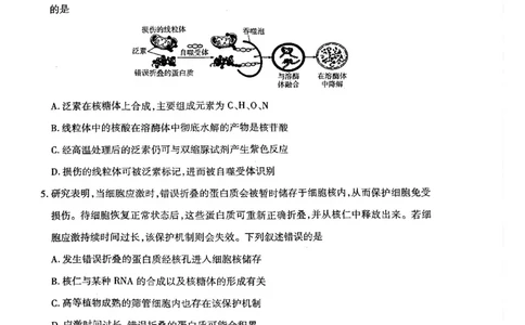 天一高一生物试题_2026年03月高一试卷_260329河南天一大联考2026年高一3月联考（全科）