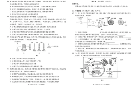 昭通市第一中学2026年春季学期高二年级开学考试生物-试卷_副本_2026年03月高二试卷_260326云南昭通市第一中学2025-2026学年春季学期高二年级开学考试