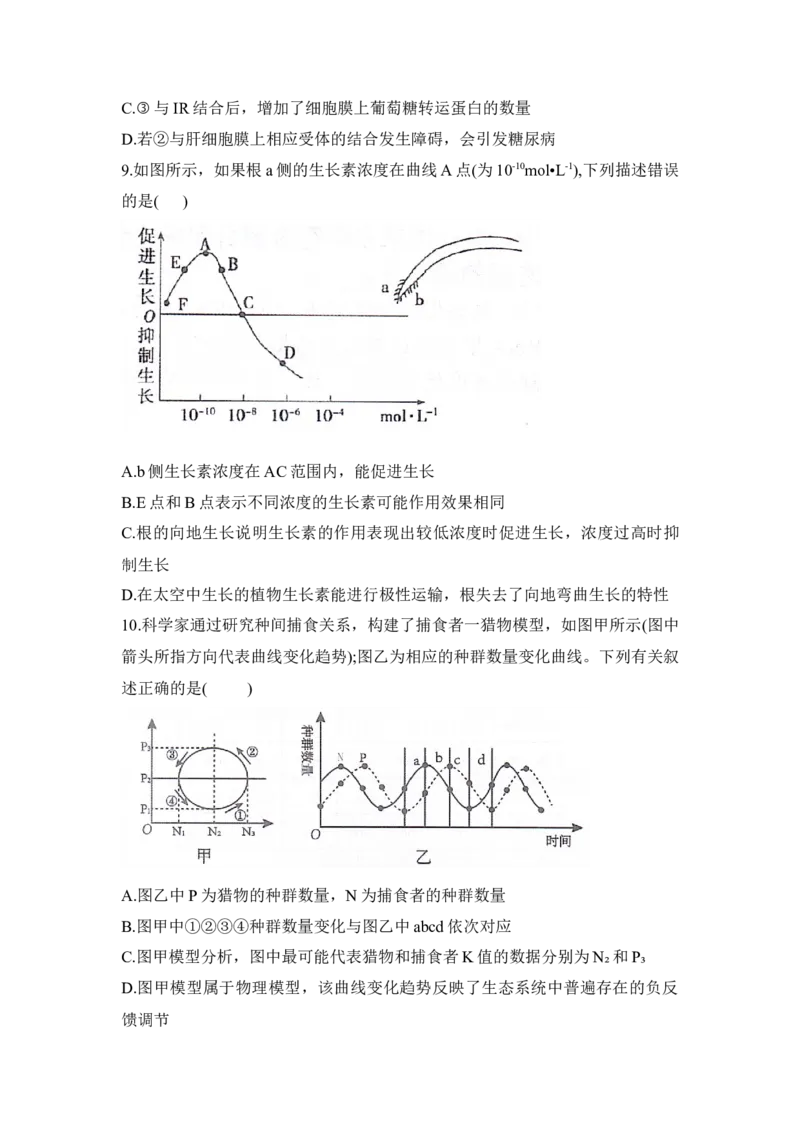 湖南省衡阳市衡阳县2025-2026学年高二上学期1月期末生物试题（含答案）_2026年02月高二试卷_260205湖南省衡阳市衡阳县2025-2026学年高二上学期1月期末