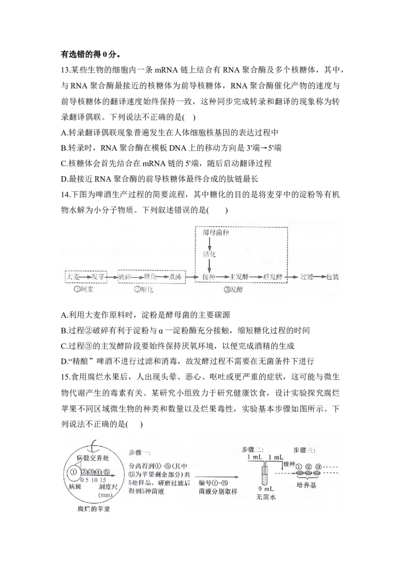 湖南省衡阳市衡阳县2025-2026学年高二上学期1月期末生物试题（含答案）_2026年02月高二试卷_260205湖南省衡阳市衡阳县2025-2026学年高二上学期1月期末