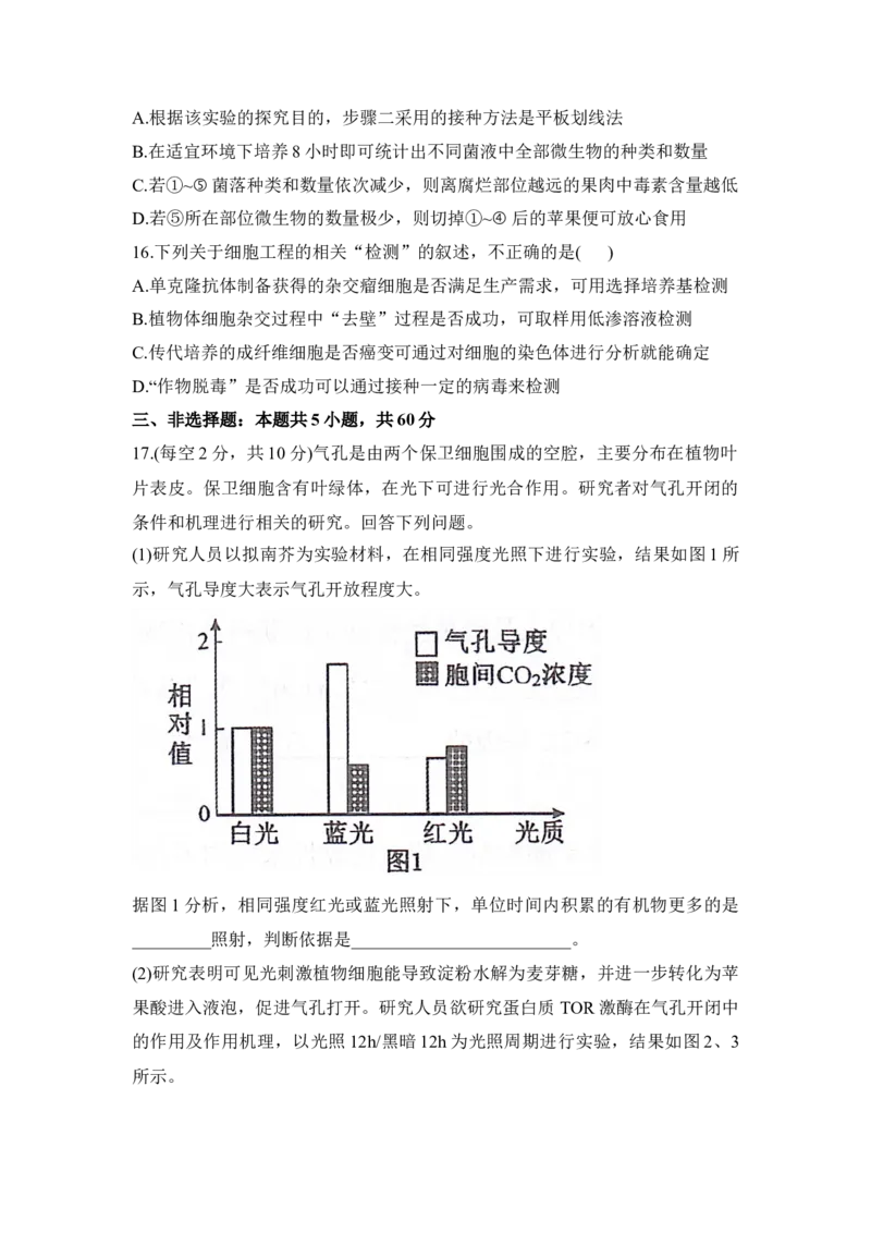 湖南省衡阳市衡阳县2025-2026学年高二上学期1月期末生物试题（含答案）_2026年02月高二试卷_260205湖南省衡阳市衡阳县2025-2026学年高二上学期1月期末