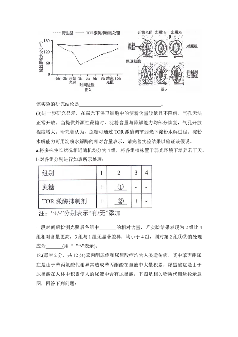 湖南省衡阳市衡阳县2025-2026学年高二上学期1月期末生物试题（含答案）_2026年02月高二试卷_260205湖南省衡阳市衡阳县2025-2026学年高二上学期1月期末