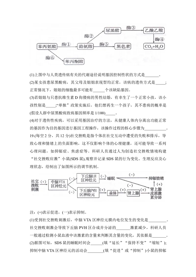 湖南省衡阳市衡阳县2025-2026学年高二上学期1月期末生物试题（含答案）_2026年02月高二试卷_260205湖南省衡阳市衡阳县2025-2026学年高二上学期1月期末