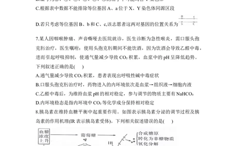 湖南省衡阳市衡阳县2025-2026学年高二上学期1月期末生物试题（含答案）_2026年02月高二试卷_260205湖南省衡阳市衡阳县2025-2026学年高二上学期1月期末