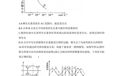 湖南省衡阳市衡阳县2025-2026学年高二上学期1月期末生物试题（含答案）_2026年02月高二试卷_260205湖南省衡阳市衡阳县2025-2026学年高二上学期1月期末