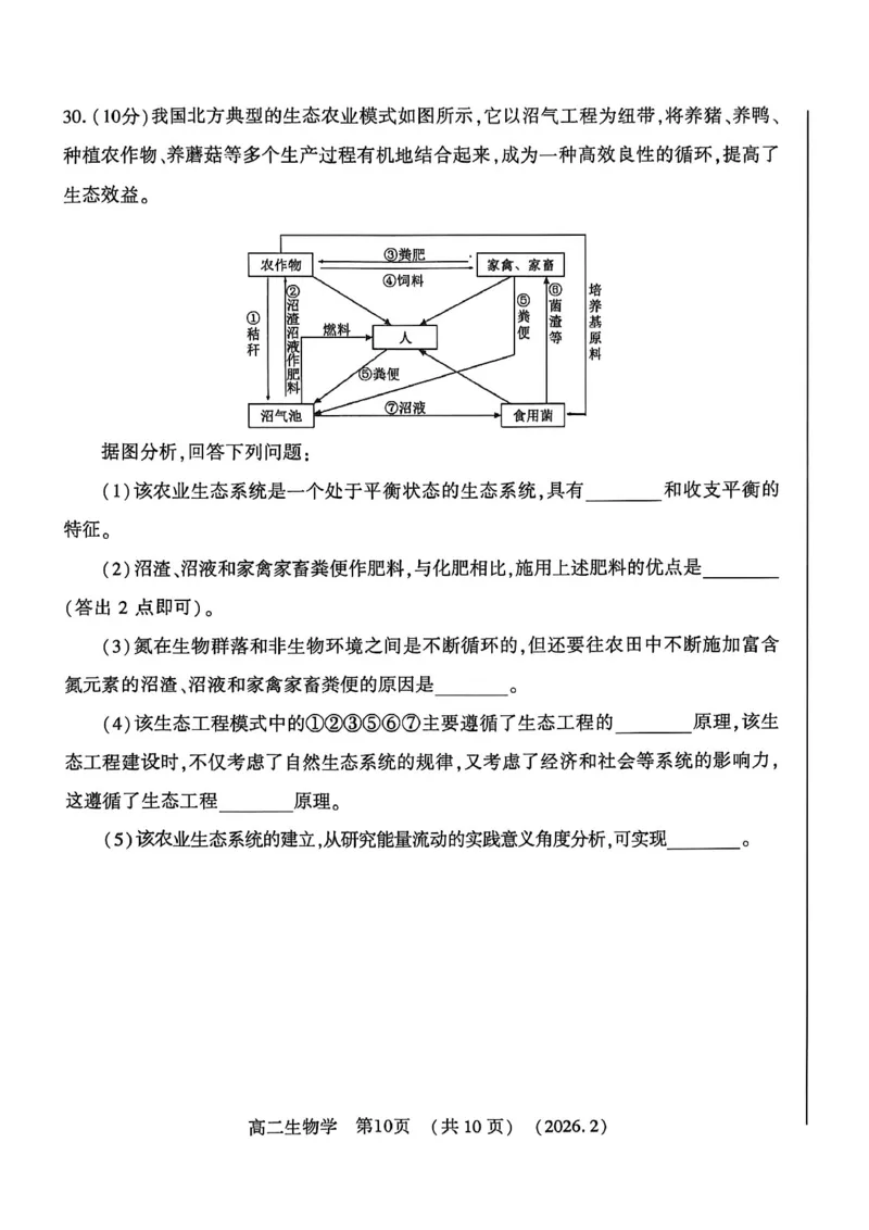 生物试卷_2026年02月高二试卷_260214河南省洛阳市2025-2026学年高二上学期2月期末考试（全）_河南省洛阳市2025-2026学年高一上学期2月期末考试生物试题含答案