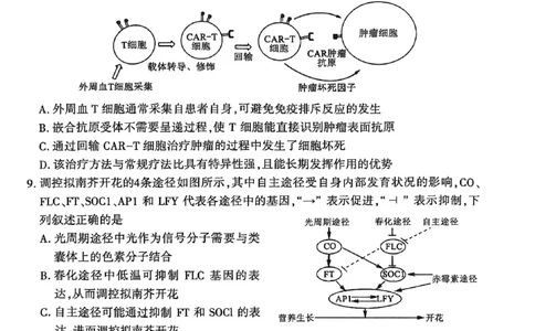生物试卷_2026年02月高二试卷_260214河南省洛阳市2025-2026学年高二上学期2月期末考试（全）_河南省洛阳市2025-2026学年高一上学期2月期末考试生物试题含答案