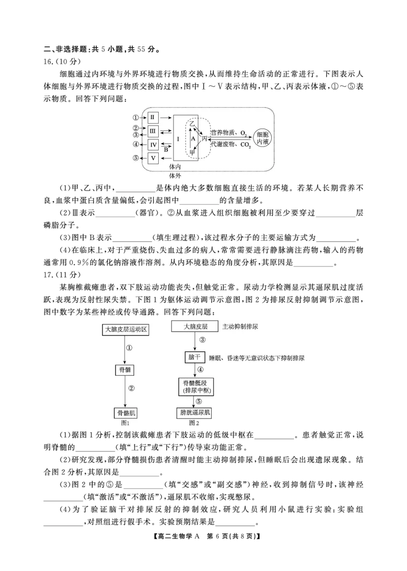 高二期末生物A卷-SY_2026年02月高二试卷_260209安徽省鼎尖联考2025-2026学年高二上学期过程性学科素质评价试题（全）