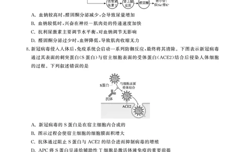 高二期末生物A卷-SY_2026年02月高二试卷_260209安徽省鼎尖联考2025-2026学年高二上学期过程性学科素质评价试题（全）