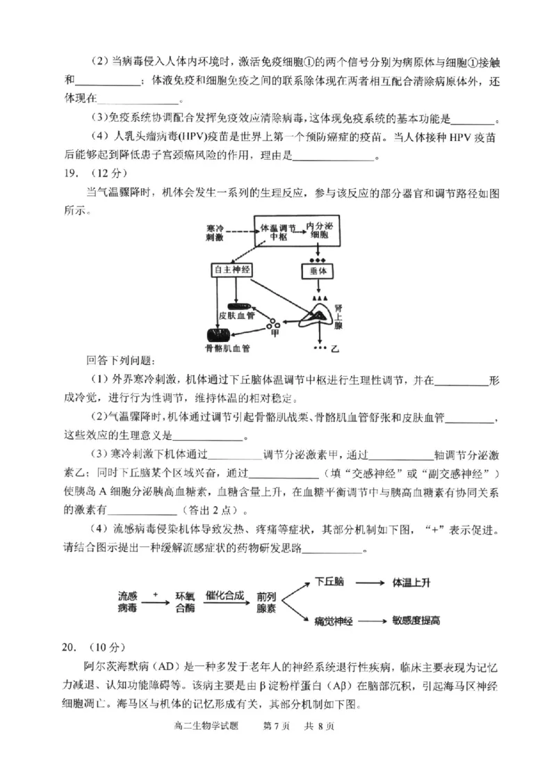 生物试卷-福建省宁德市2025-2026学年度第一学期期末高二质量检测(2.2-2.4)_2026年02月高二试卷_260211福建省宁德市2025-2026学年度第一学期期末高二质量检测(2.2-2.4)（全）