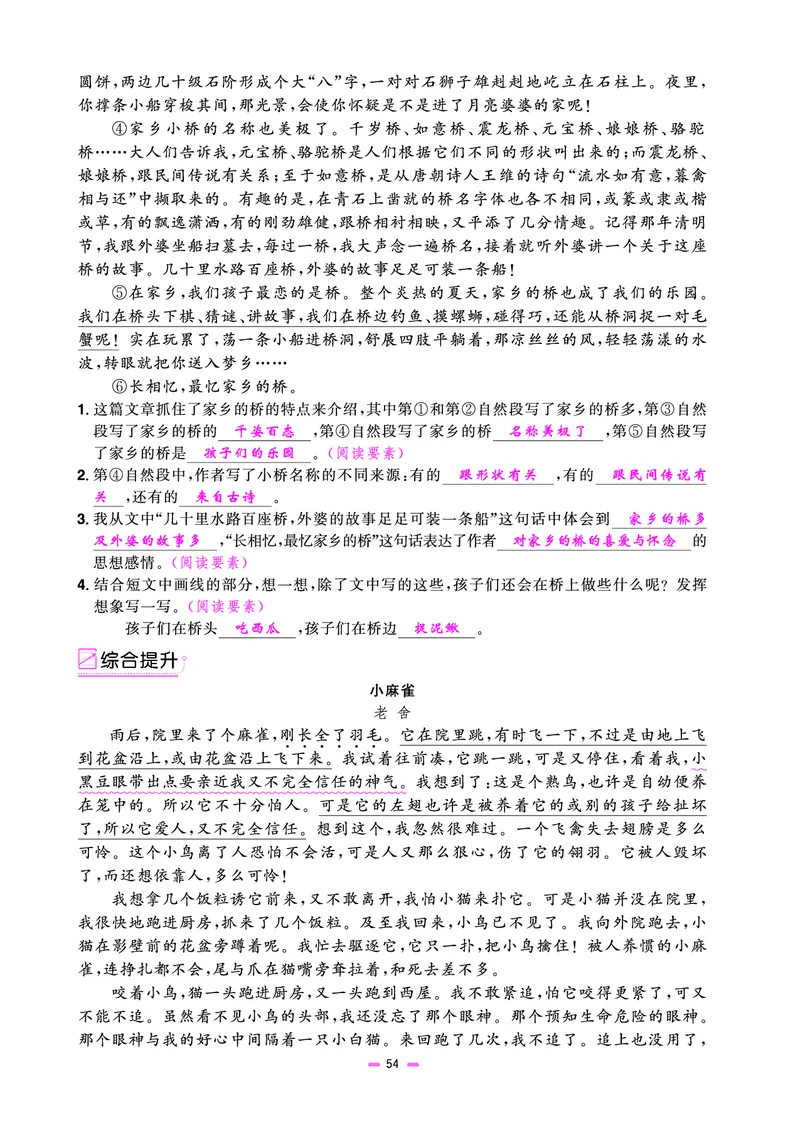 主书(活页专项训练)教用_小升初考点大全（语文英语）_语文《小升初考点大全》
