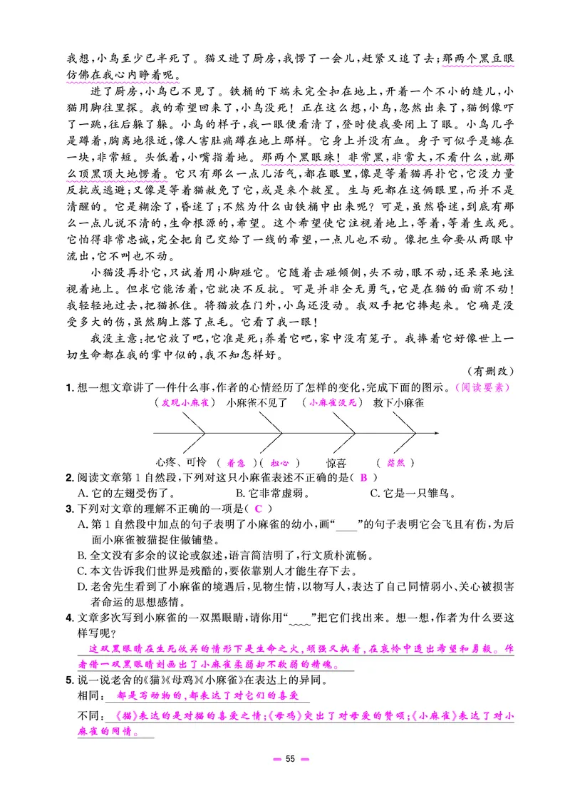 主书(活页专项训练)教用_小升初考点大全（语文英语）_语文《小升初考点大全》