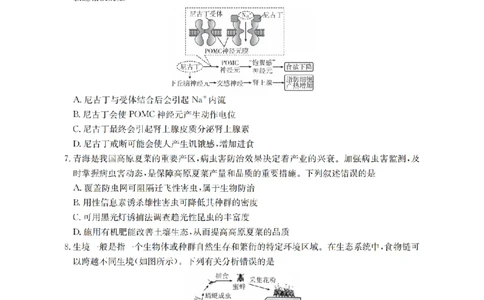 生物学_扫描版_2026年02月高二试卷_260213河南省南阳地区2025-2026学年高二上学期期末摸底考试卷（全）