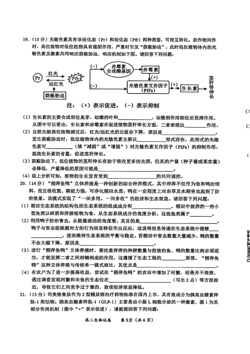 玉林2025-2026秋季期末高二生物试卷_2026年02月高二试卷_260210广西壮族自治区玉林市2025-2026学年高二上学期期末教学质量监测（全）