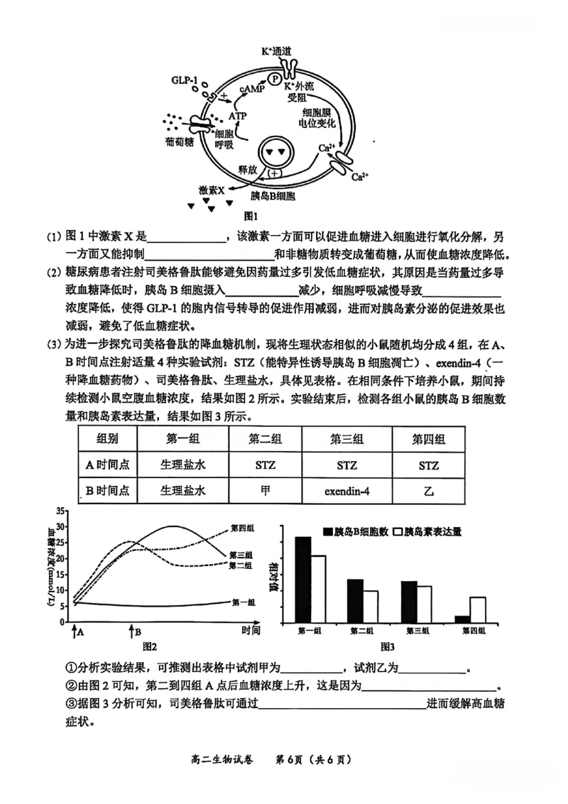 玉林2025-2026秋季期末高二生物试卷_2026年02月高二试卷_260210广西壮族自治区玉林市2025-2026学年高二上学期期末教学质量监测（全）