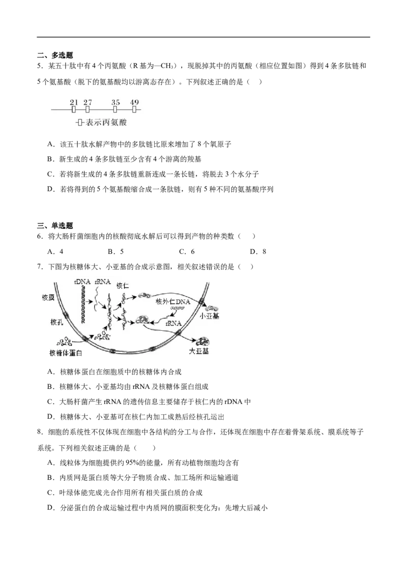 河北安平中学2025-2026学年高一下学期寒假作业测试生物试卷_2026年03月高一试卷_260317河北安平中学2025-2026学年高一下学期寒假作业测试试卷